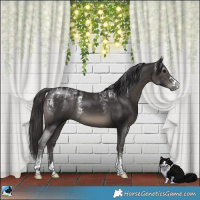 Horse Color:Powder White Smoky Black 