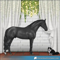 Horse Color:Platinum Black 