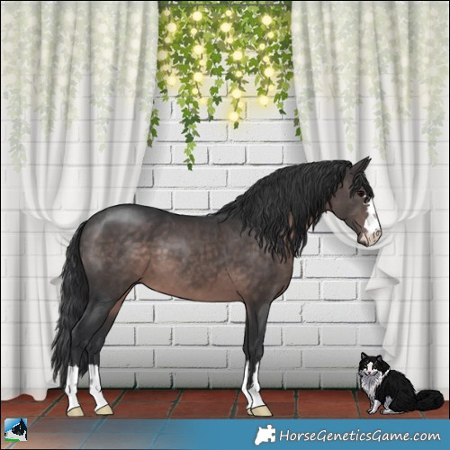 Horse Color:Platinum Brown