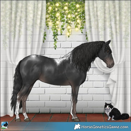 Horse Color:Platinum Liver Chestnut Tobiano Rabicano