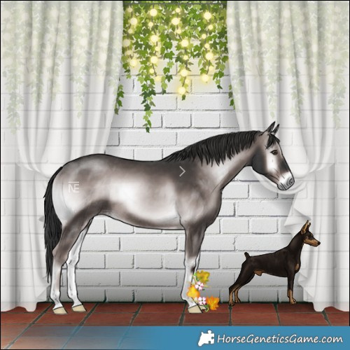 Horse Color:Platinum Liver Red Onyx Rabicano