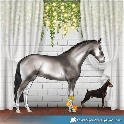 Horse Color:Platinum Liver Red Onyx Rabicano