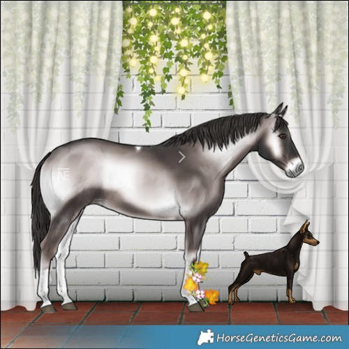 Horse Color:Platinum Liver Red Onyx Tobiano Rabicano 