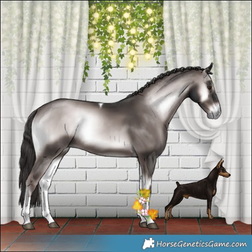 Horse Color:Platinum Liver Red Onyx Tobiano Rabicano
