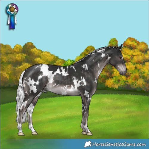 Horse Color:Platinum White Spotted Liver Chestnut Mushroom 