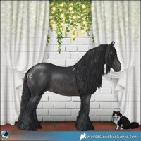 Horse Color:Platinum Brown Rabicano 