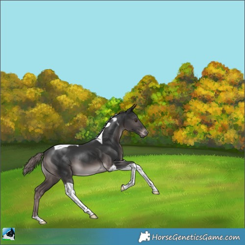 Horse Color:Platinum Liver Chestnut Tobiano 