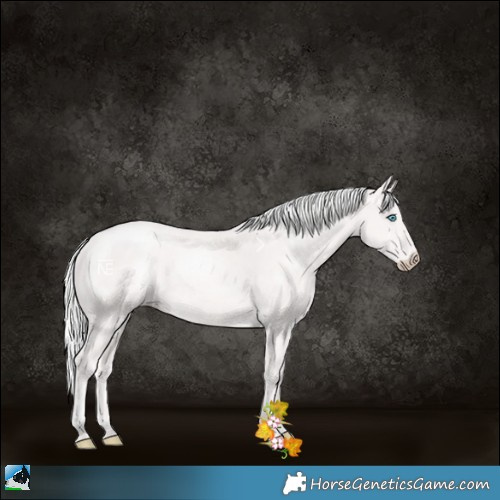 Horse Color:Platinum Cremello Rabicano
