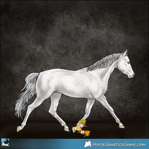 Horse Color:Platinum Cremello Rabicano 