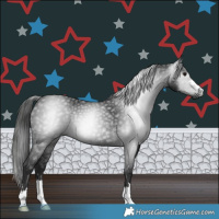 Horse Color:Gray Black 