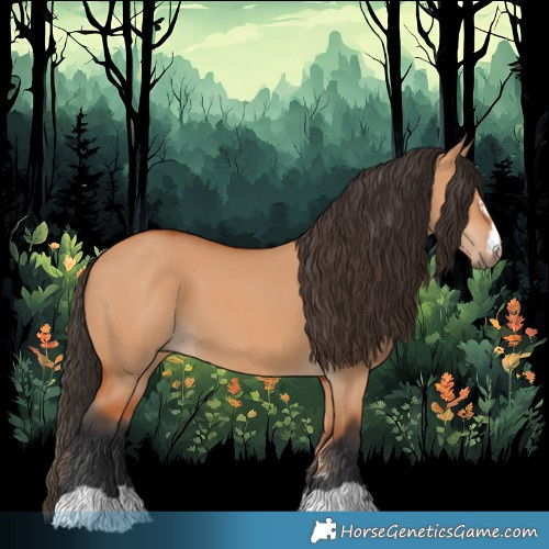 Horse Color:Bay Dun 