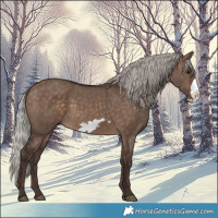 Horse Color:Silver Brown Dun Frame 