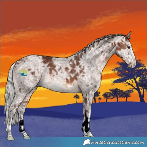 Horse Color:Silver Bay Ice 