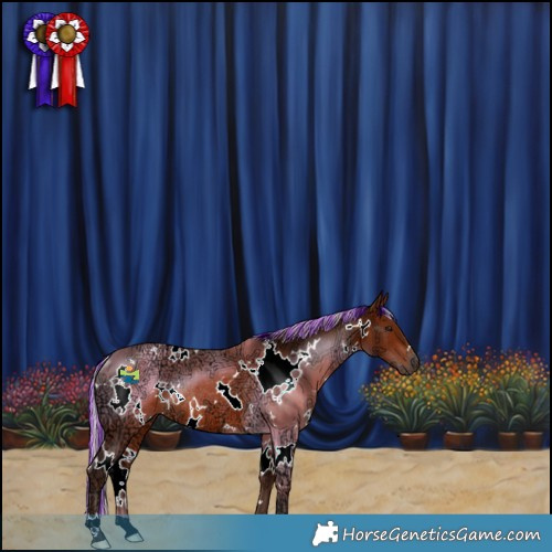 Horse Color:Painted White Spotted Silver Bay Ice Rabicano 