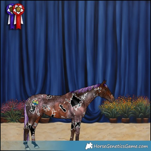 Horse Color:Painted White Spotted Silver Bay Ice Rabicano 