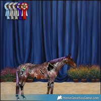 Horse Color:Painted White Spotted Silver Bay Ice Rabicano 