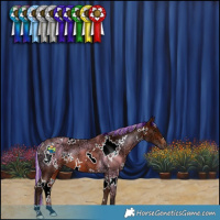Horse Color:Painted White Spotted Silver Bay Ice Rabicano 