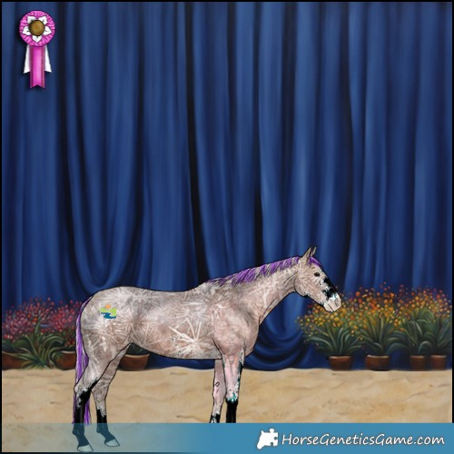 Horse Color:Painted Silver Black Ice Sabino Appaloosa