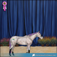 Horse Color:Painted Silver Black Ice Sabino Appaloosa 