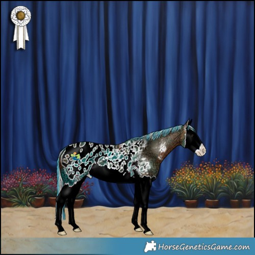 Horse Color:Painted Silver Brown Ice Sabino Splash Appaloosa 