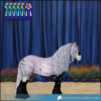 Horse Color:ERROR: UNKNOWN ANOMALY
