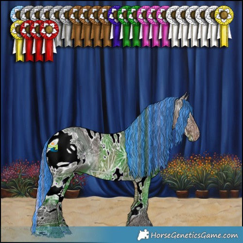 Horse Color:ERROR: UNKNOWN ANOMALY