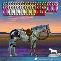 Horse Color:ERROR: UNKNOWN ANOMALY