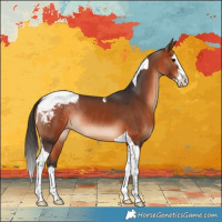Horse Color:Bay Splash Tobiano Varnish Rabicano 