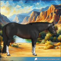 Horse Color:Gray White Spotted Brown