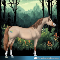 Horse Color:Red Dun 