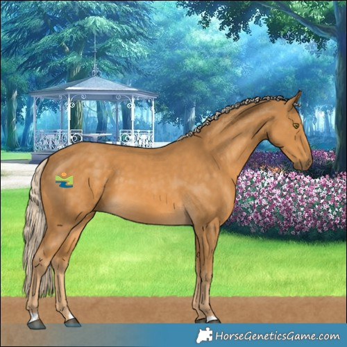 Horse Color:Palomino 
