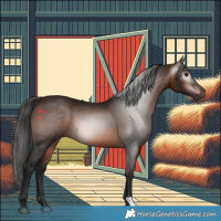 Horse Color:Gray Bay