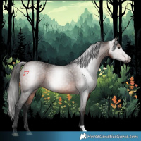 Horse Color:Gray Bay 