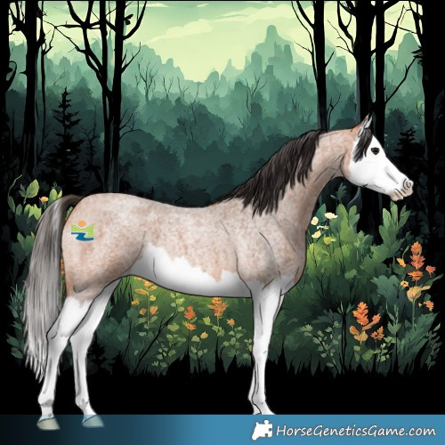 Horse Color:Bay Roan Splash 