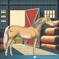 Horse Color:Palomino 