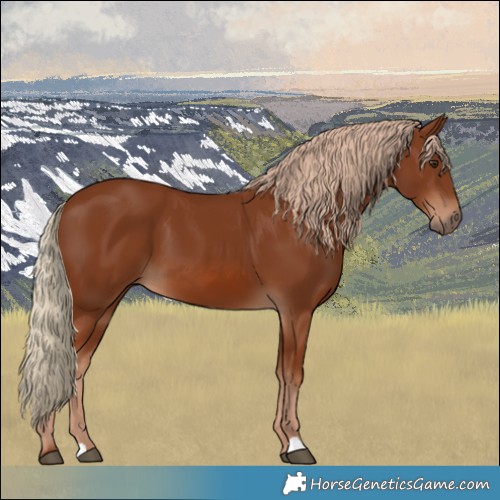Horse Color:Chestnut 