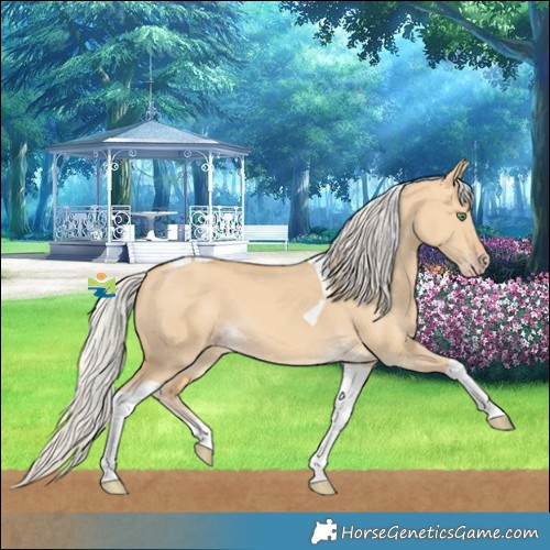 Horse Color:Silver Amber Cream Champagne Dun Tobiano 