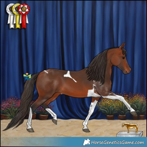 Horse Color:Bay Tobiano 