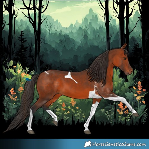 Horse Color:Bay Tobiano 
