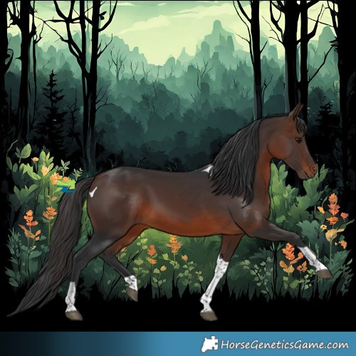 Horse Color:Brown Tobiano 