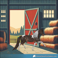Horse Color:Liver Chestnut Tobiano Rabicano