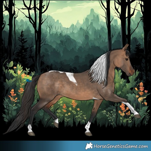 Horse Color:Bay Dun Tobiano