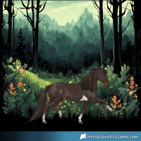 Horse Color:Liver Chestnut Tobiano 