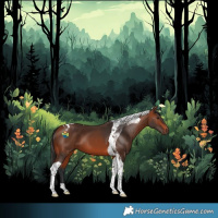 Horse Color:Bay Tobiano 