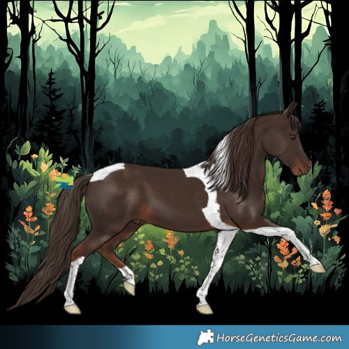Horse Color:Liver Chestnut Tobiano 