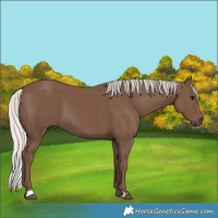 Horse Color:Silver Black 