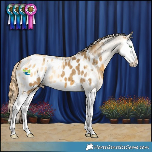 Horse Color:Sable Cream Champagne Splash Appaloosa  and Amber Cream Champagne Dun Splash Appaloosa 
