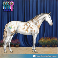 Horse Color:Sable Cream Champagne Splash Near Leopard and Amber Cream Champagne Dun Splash Blanket