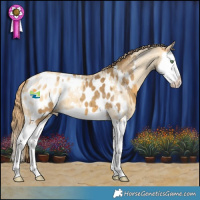 Horse Color:Sable Cream Champagne Splash Appaloosa and Amber Cream Champagne Dun Splash Appaloosa