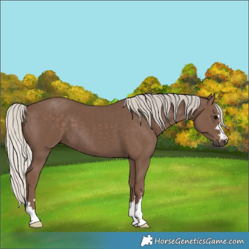 Horse Color:Silver Black 